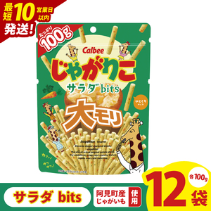 【10営業日以内に出荷】カルビー じゃがりこサラダ bits 大モリ(100g)×12個|Calbee お菓子 菓子 おやつ おかし ぽてち ポテチ スナック おつまみ ジャガイモ じゃがいも(93-52)