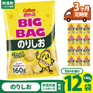 【3ヶ月定期便】カルビー ポテトチップス のりしお BIGBAG（160g）×12個｜Calbee お菓子 菓子 おやつ おかし ぽてち ポテチ スナック おつまみ ジャガイモ じゃがいも（93-62）