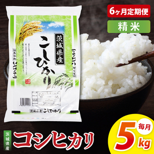 【6ヶ月定期便】茨城県産コシヒカリ　精米　5kg｜精米 定期便 お米 米 こめ コメ ごはん 白米 阿見町 茨城県 茨城県産 茨城県産米 安心 安全 送料無料 国産 人気 数量限定 高評価（85-86）