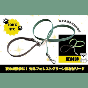 『ギラギラ・フォレストグリーン』犬用光るリード/特注高輝度反射材使用【小型犬用10キロまで】|散歩 愛犬 夜散歩 阿見町 茨城県(40-35)