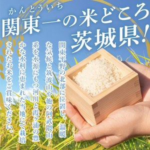茨城県産にじのきらめき　精米　20kg｜精米 定期便 お米 米 こめ コメ ごはん 白米 阿見町 茨城県 茨城県産 茨城県産米 安心 安全 送料無料 国産 人気 数量限定 高評価（85-190）