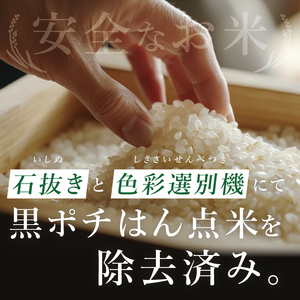 茨城県産にじのきらめき　精米　20kg｜精米 定期便 お米 米 こめ コメ ごはん 白米 阿見町 茨城県 茨城県産 茨城県産米 安心 安全 送料無料 国産 人気 数量限定 高評価（85-190）