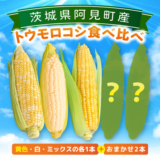 とうもろこし 朝採り 食べ比べ 5本 セット 先行予約 茨城県 阿見町産