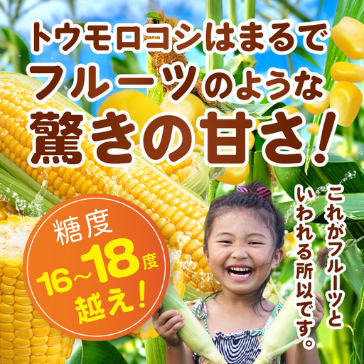 とうもろこし 朝採り 食べ比べ 5本 セット 先行予約 茨城県 阿見町産