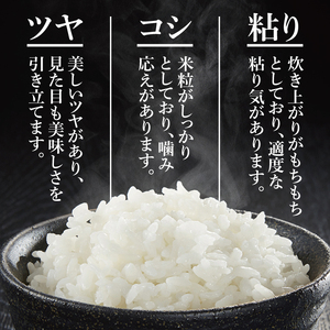 令和7年産茨城県特別栽培認証 清明川コシヒカリ白米5kg×2袋　米 おこめ こしひかり  特別栽培米 農家直送 直送 茨城県 阿見町（04-02-1）