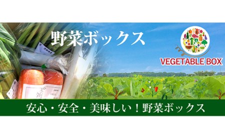 20-05阿見町産野菜ボックス（7～8品）