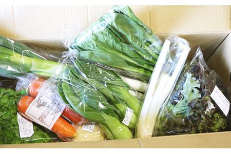 20-05阿見町産野菜ボックス（7～8品）