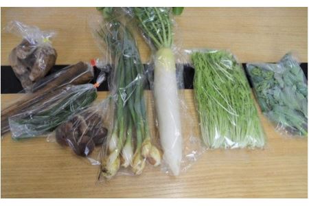 20-06【3ヵ月連続お届け】阿見町産野菜ボックス（7～8品）