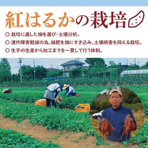 【先行予約 11月頃から順次発送】茨城県阿見町産 さつまいも 紅はるか 5kg×1【サツマイモ 生芋 べにはるか 茨城県 阿見町】(04-10)