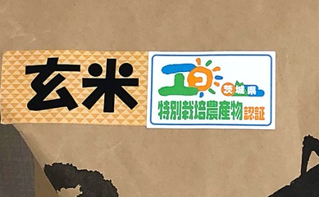 20-20茨城県産コシヒカリ特別栽培米5kg（玄米）【大地のめぐみ】