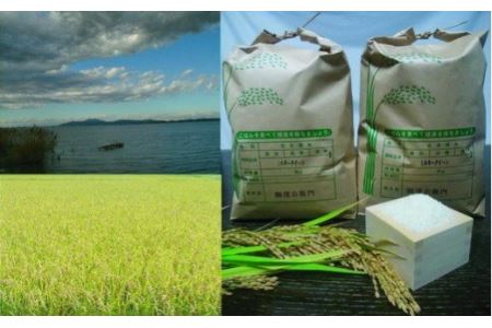 茨城県阿見町産「霞ヶ浦のおいしいお米」ミルキークイーン10kg