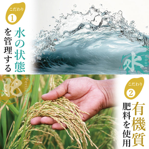 「茨城県産 茨城県産米」「霞ヶ浦のおいしいお米」令和7年産ミルキークイーン10kg【米 ごはん 霞ヶ浦 茨城県 阿見町】（13-01-2）