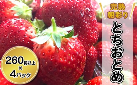 24-01完熟朝彩りとちおとめ(300g×4パック)