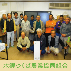 阿見レンコン（Mサイズ 5本程度 約4kg）【れんこん 蓮根 肉厚 しゃきしゃき 煮物 きんぴら】(20-01)