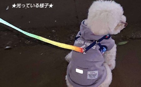 48-04オリジナル反射材の犬用リード（虹グラデーション星柄）【10kg用】