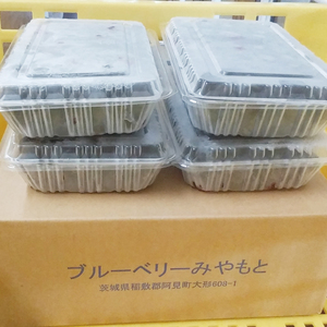 完熟 ブルーベリー 1.2kg （300g×4パック） 国産 期間限定 数量限定 冷蔵 果物 春 旬 朝摘み 朝採り 新鮮 産地直送 フレッシュ フルーツ 無農薬 農薬不使用 緑肥栽培 送料無料 スムージー ヨーグルト ジャム 高級 茨城県 阿見町 【先行予約｜2026年6月下旬～順次発送】(19-01-1)