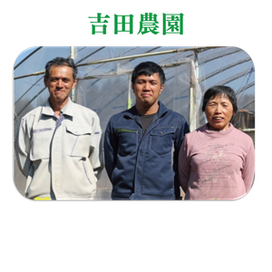 【先行予約】茨城県産大玉スイカ4Lサイズ（9～10kg）【茨城県 阿見町 スイカ 1玉 すいか 西瓜 果物 くだもの フルーツ 国産 甘い 送料無料】（04-26）