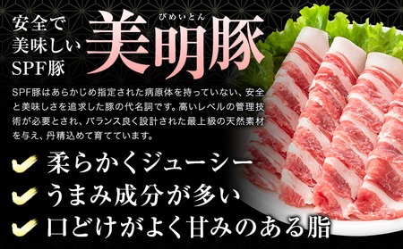 豚肉 肉 福袋 セット 美明豚 肩ロース バラ 挽肉 切り落とし 角切り 計1.9kg ワークミート《90日以内に出荷予定(土日祝除く)》茨城県 河内町 豚肉セット SPF豚 びめいとん 詰め合わせ 部位 豚 挽き肉 切落し 豚バラ ロース お取り寄せ