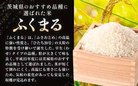 【先行予約】ふくまる 10kg 5kg × 2袋 白米 まちづくり河内株式会社かわち夢楽《2026年8月下旬頃出荷予定》茨城県 河内町 米 こめ お米 ご飯