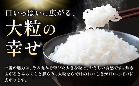 【先行予約】ふくまる 10kg 5kg × 2袋 白米 まちづくり河内株式会社かわち夢楽《2026年8月下旬頃出荷予定》茨城県 河内町 米 こめ お米 ご飯