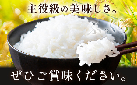 【先行予約】ふくまる 10kg 5kg × 2袋 白米 まちづくり河内株式会社かわち夢楽《2026年8月下旬頃出荷予定》茨城県 河内町 米 こめ お米 ご飯