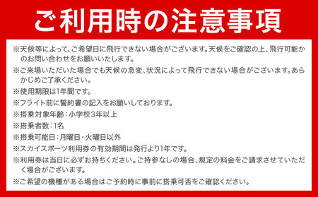 【一般の方向け】飛行体験 モーターグライダー 20分 または グライダー 約20分 株式会社日本モーターグライダークラブ《30日以内に出荷予定(土日祝除く)》茨城県 河内町 スカイスポーツ 大利根飛行場【配送不可地域あり】（沖縄・離島）