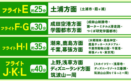 セスナ機遊覧飛行体験 ペア フライトJ・K・L（約40分コース） 新中央航空株式会社《30日以内に出荷予定(土日祝除く)》茨城県 河内町 セスナ 飛行体験
