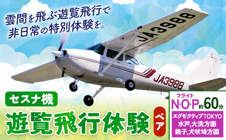 セスナ機遊覧飛行体験 ペア フライトN・O・P（約60分コース） 新中央航空株式会社《30日以内に出荷予定(土日祝除く)》茨城県 河内町 セスナ 飛行体験