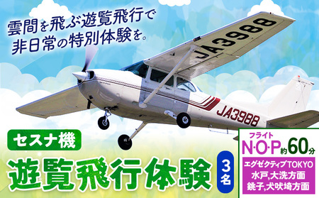 セスナ機遊覧飛行体験 3名 フライトN・O・P（約60分コース） 新中央航空株式会社《30日以内に出荷予定(土日祝除く)》茨城県 河内町 セスナ 飛行体験