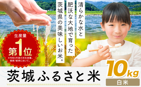 米 茨城 ふるさと米 白米 10kg《1月中旬-2月末頃出荷》