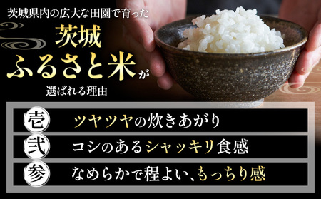 【3か月定期便】米 茨城 ふるさと米 無洗米 5kg《申込月の翌月より出荷開始》無洗米 無洗米 無洗米