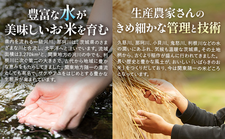 【3か月定期便】米 茨城 ふるさと米 無洗米 5kg《申込月の翌月より出荷開始》無洗米 無洗米 無洗米