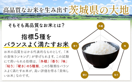 米 茨城 ふるさと米 無洗米 10kg《1月中旬-2月末頃出荷》無洗米