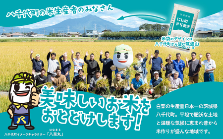 【令和7年産】新米 白米 にじのきらめき 10kg スピード発送(10kgセット(5kgx2袋))《2～14日で出荷》
