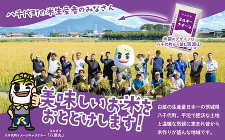 【令和7年産】新米 白米 ミルキークイーン 10kg スピード発送(10kgセット(5kgx2袋))《2～14日で出荷》