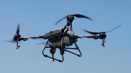 令和7年産 茨城県産 新米 ミルキークイーン 10kg 玄米