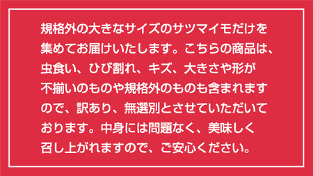 【 先行予約 2024年11月下旬以降発送 】 訳あり (割れ、傷) 八千代町産 巨大さつまいも 紅はるか 生芋 土付き 無選別 約 10kg ワケアリ 訳アリ わけあり サツマイモ さつまいも 芋 フードロス 巨大 大きい 茨城 [AX038ya]