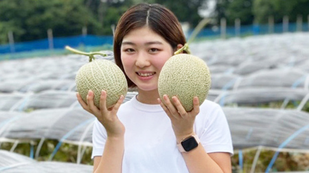 メロン クラリスメロン 秀品 1箱 2玉 2026年発送 先行受付