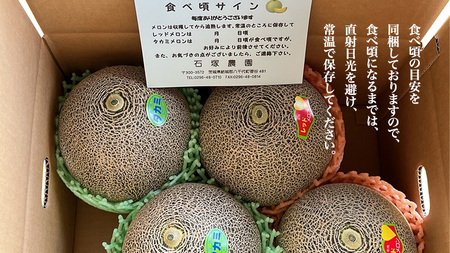 タカミレッド(赤肉)・タカミメロン(青肉)食べ比べ 2色 セット 合計4玉入り(約5kg~7kg)【2026年6月上旬以降発送】 期間限定 産地直送 農家直送 果物 フルーツ メロン タカミ たかみ 貴味 レッド 甘い 4玉