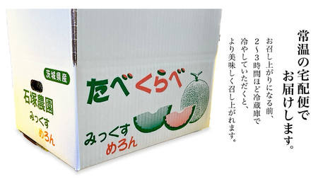 タカミレッド(赤肉)・タカミメロン(青肉)食べ比べ 2色 セット 合計4玉入り(約5kg~7kg)【2026年6月上旬以降発送】 期間限定 産地直送 農家直送 果物 フルーツ メロン タカミ たかみ 貴味 レッド 甘い 4玉