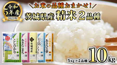 【 先行予約 2024年5月中旬以降発送 】 令和5年産 茨城県産米 品種 おまかせ 10kg ( 5kg × 2袋 ) コシヒカリ あきたこまち ミルキークイーン にじのきらめき あさひの夢 精米 お楽しみ おたのしみ 食べ比べ たべくらべ 茨城 [AK025ya]