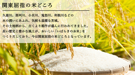 【 先行予約 2024年5月中旬以降発送 】 令和5年産 茨城県産米 品種 おまかせ 10kg ( 5kg × 2袋 ) コシヒカリ あきたこまち ミルキークイーン にじのきらめき あさひの夢 精米 お楽しみ おたのしみ 食べ比べ たべくらべ 茨城 [AK025ya]