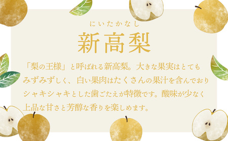 新高梨 約5kg 09月下旬発送  梨 先行受付