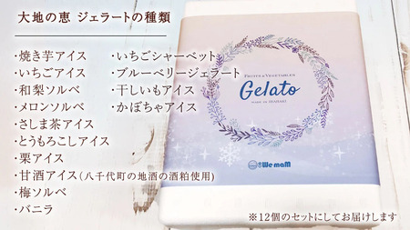 ジェラート 12個セット 食べ比べ 大地の恵み ジェラート