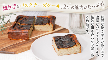 茨城県産 大地の恵み 特製 ジェラート 焼き芋 1000ml バスクチーズケーキ