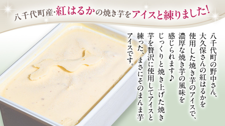 茨城県産 大地の恵み 特製 ジェラート 焼き芋 1000ml バスクチーズケーキ