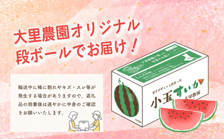 小玉スイカS6玉×2箱【送料無料】小玉スイカ6玉入り×2箱☆1玉約1000g程度 小玉スイカS6玉×1箱【送料無料】小玉スイカ6玉入り×1箱☆1玉約