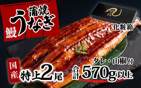 うなぎ 国産 特上 ウなぎ 蒲焼き 2尾 570g以上 ウナギ 化粧箱  
