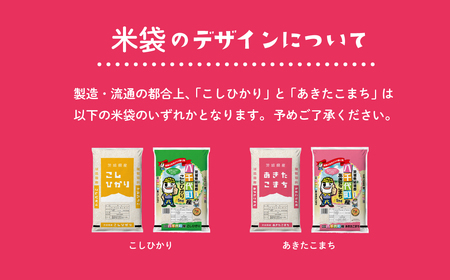 お米 食べ比べセット10kg 5kgx2袋 令和6年産 新米 10月発送 先行予約 こしひかり あきたこまち 食べ比べ 白米 精米 茨城県 八千代町 [SF011ya]