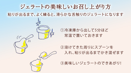 茨城県産 大地の恵み 特製 ジェラート いちご 栗 各2000ml